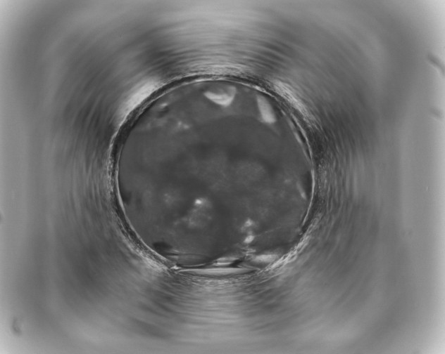 X0000095541071200712281539