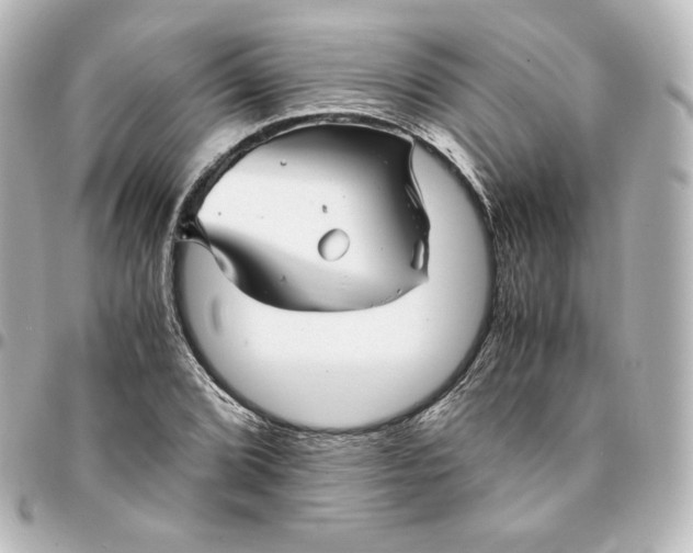 X0000095541072200712281539