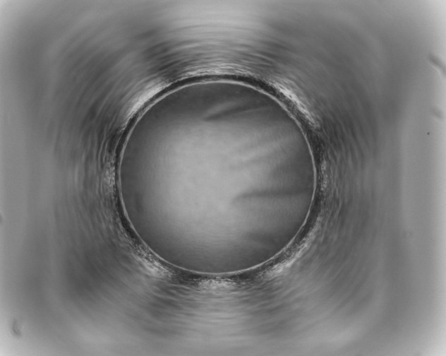 X0000095541073200712281539