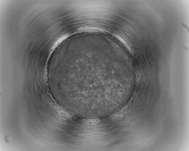 X0000095541074200712281539