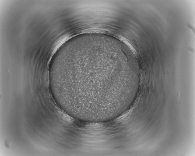 X0000095541075200712281539