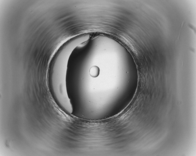 X0000095541076200712281539