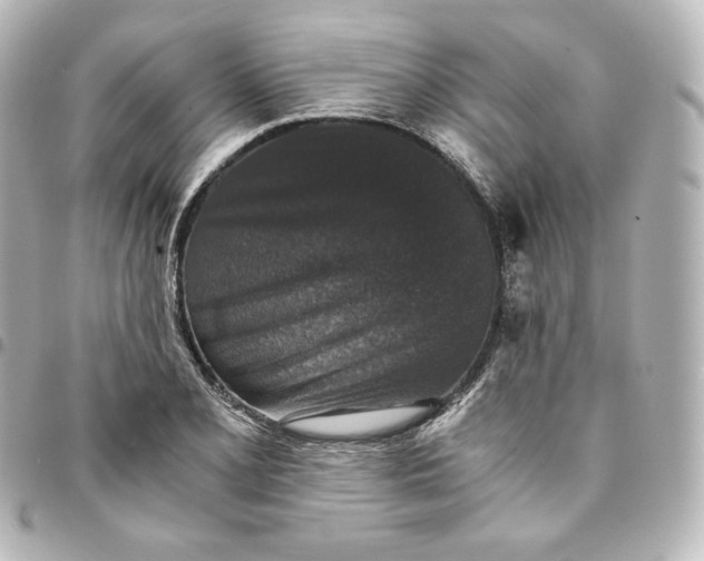 X0000095541077200712281539