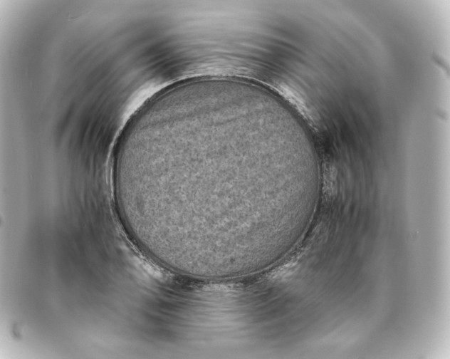 X0000095541078200712281539