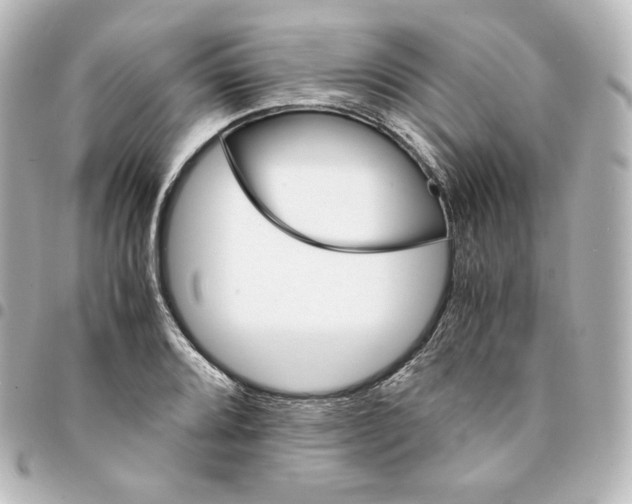 X0000095541080200712281539