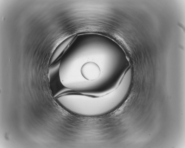 X0000095541081200712281539