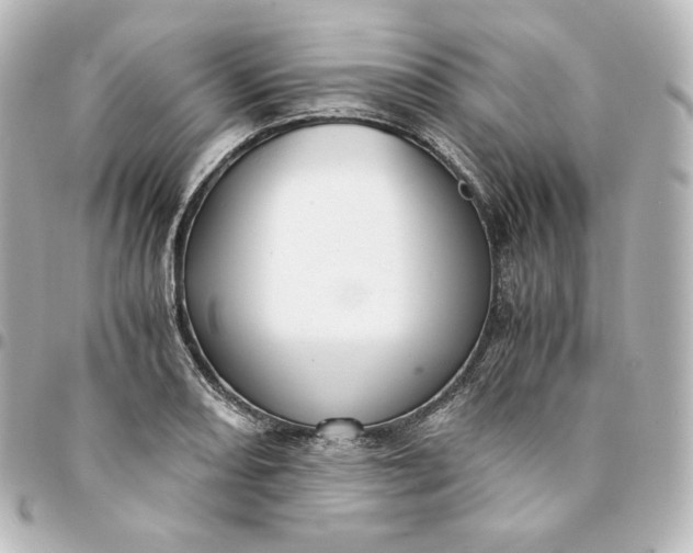 X0000095541082200712281539