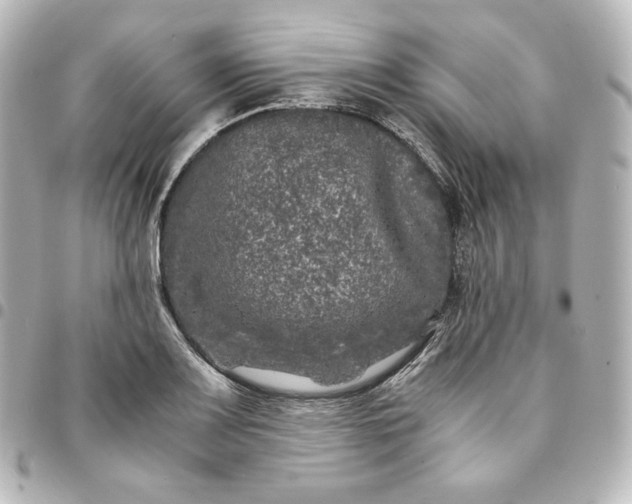 X0000095541083200712281539