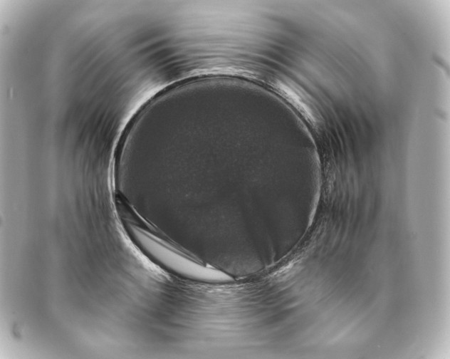 X0000095541084200712281539