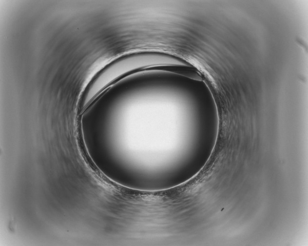 X0000095541085200712281538