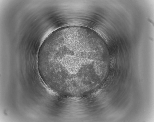 X0000095541086200712281538