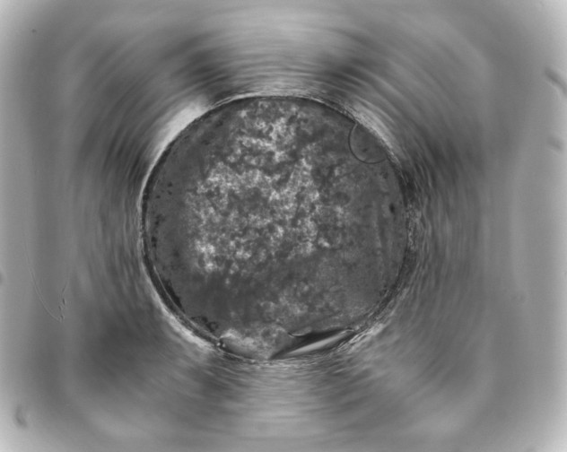 X0000095541087200712281538