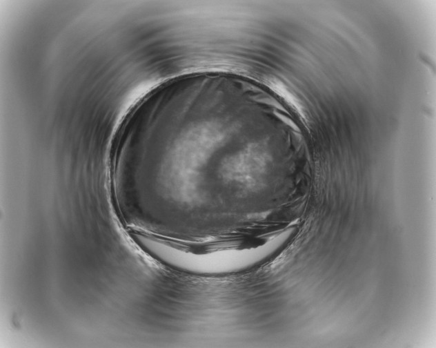 X0000095541088200712281538