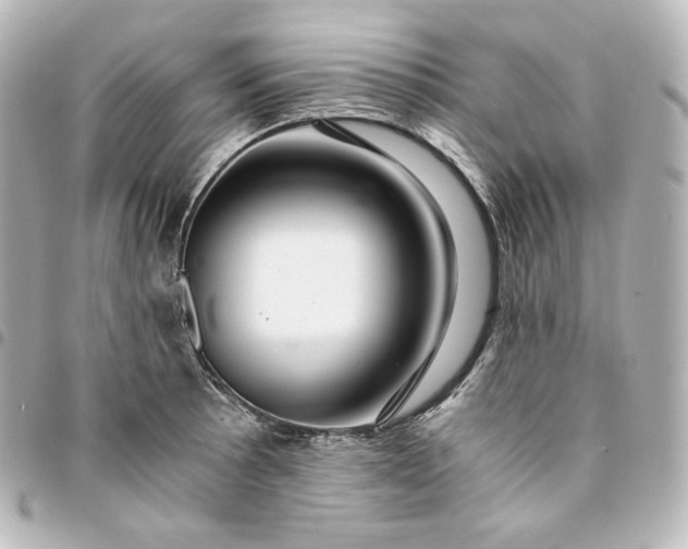 X0000095541089200712281538