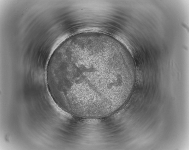 X0000095541090200712281538