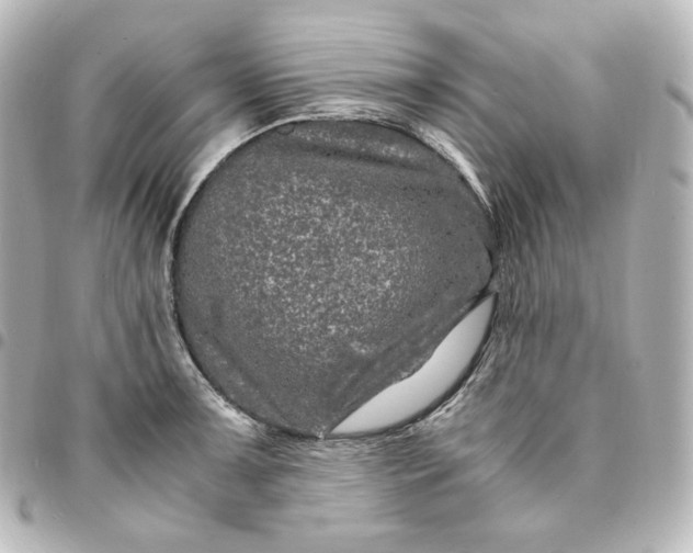 X0000095541091200712281538