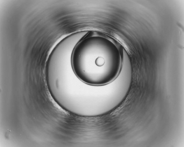 X0000095541092200712281538