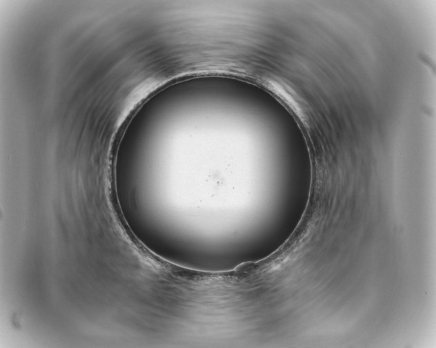 X0000095541093200712281538