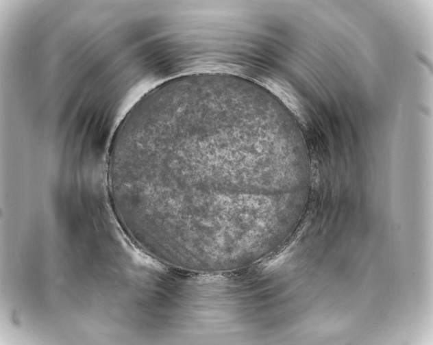 X0000095541094200712281538