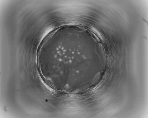 X0000095541095200712281538