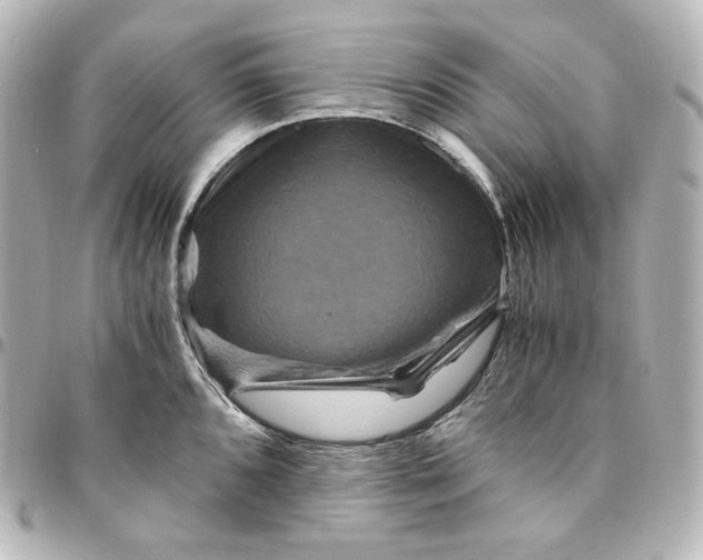 X0000095541096200712281538