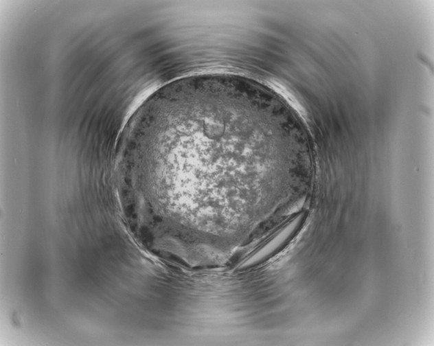 X0000095541097200712281538