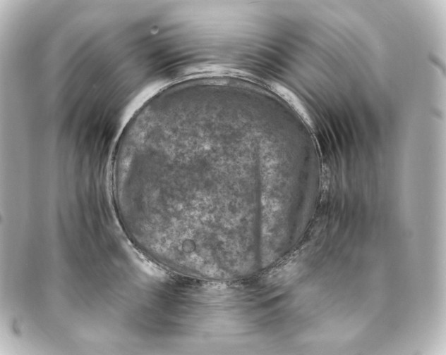 X0000095541098200712281538