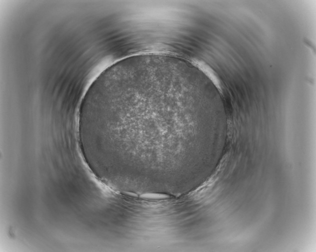 X0000095541099200712281538