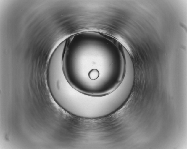 X0000095541100200712281538