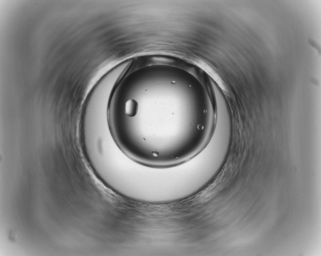 X0000095541101200712281538