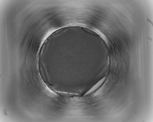 X0000095541102200712281538