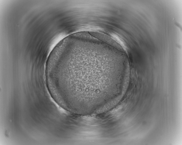 X0000095541103200712281538