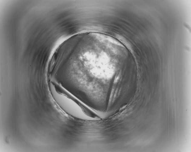 X0000095541104200712281538