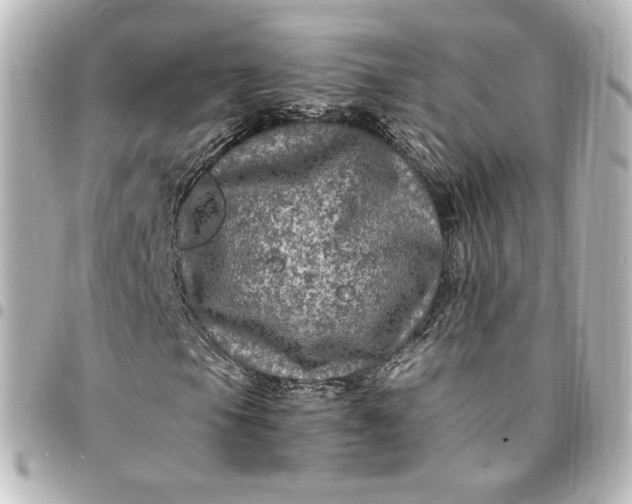 X0000095541105200712281537