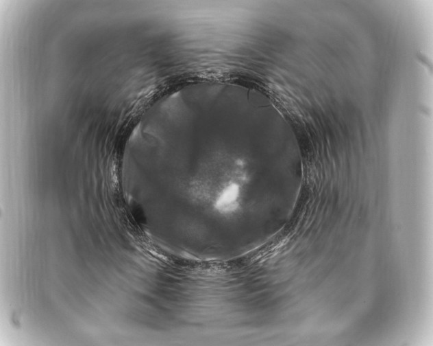 X0000095541106200712281537