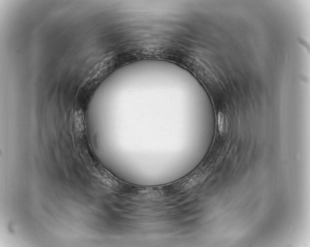 X0000095541107200712281537