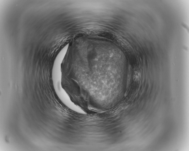 X0000095541108200712281537