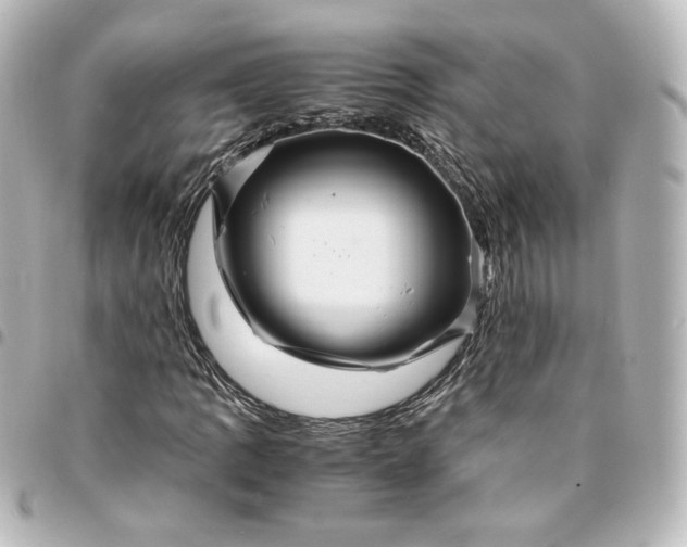 X0000095541109200712281537