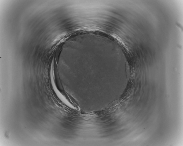 X0000095541110200712281537