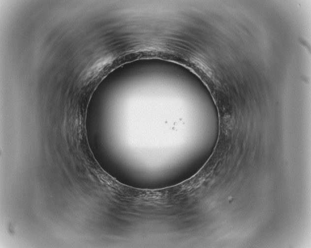 X0000095541111200712281537