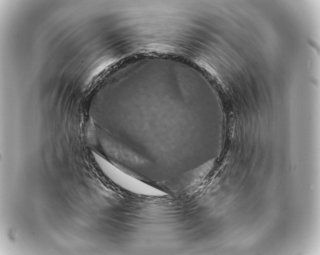 X0000095541112200712281538