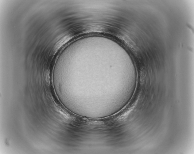 X0000095541113200712281538