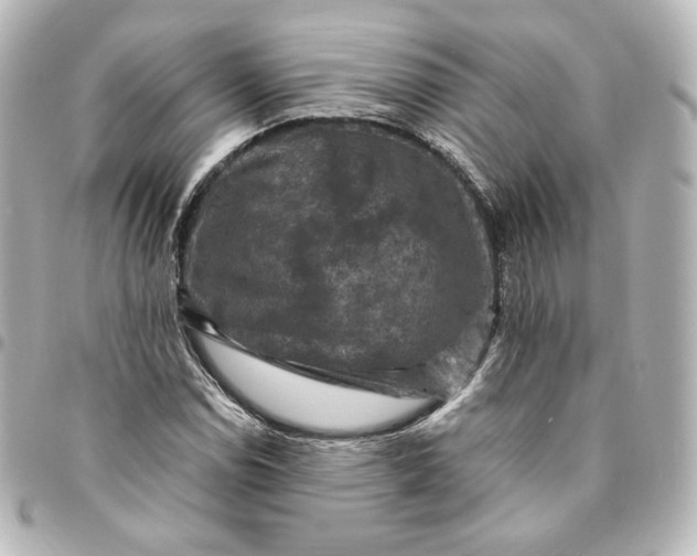 X0000095541114200712281538