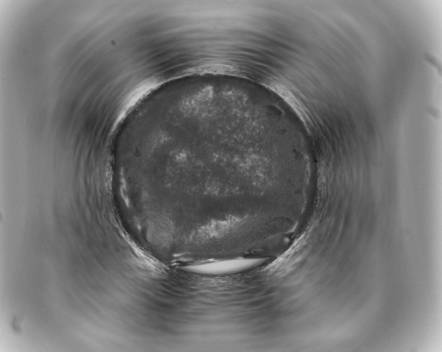 X0000095541115200712281538