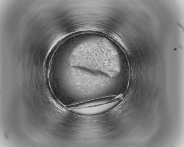 X0000095541116200712281538