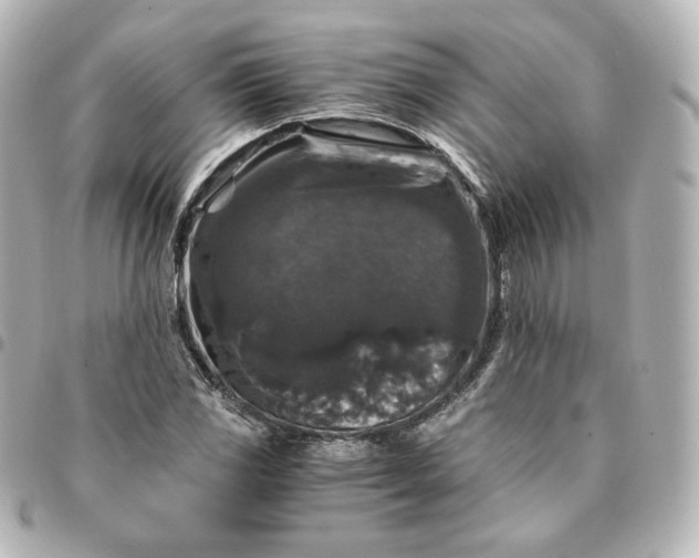 X0000095541117200712281538