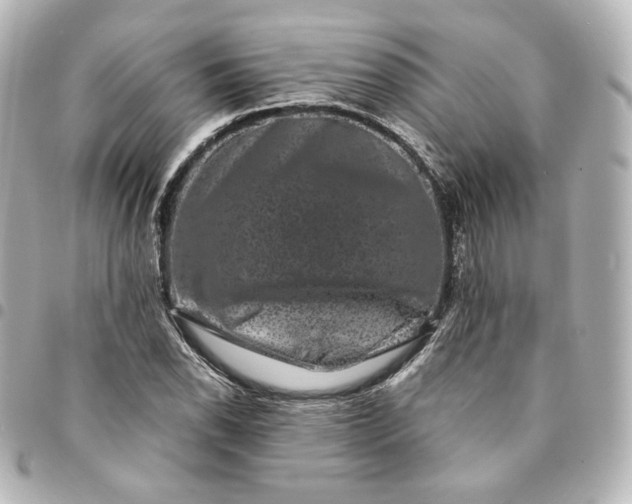 X0000095541118200712281538