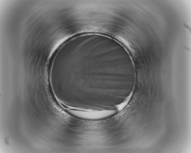 X0000095541120200712281538