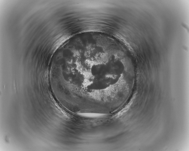 X0000095541121200712281538