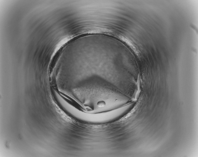 X0000095541122200712281538